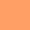 Salamander Orange Salamander Orange