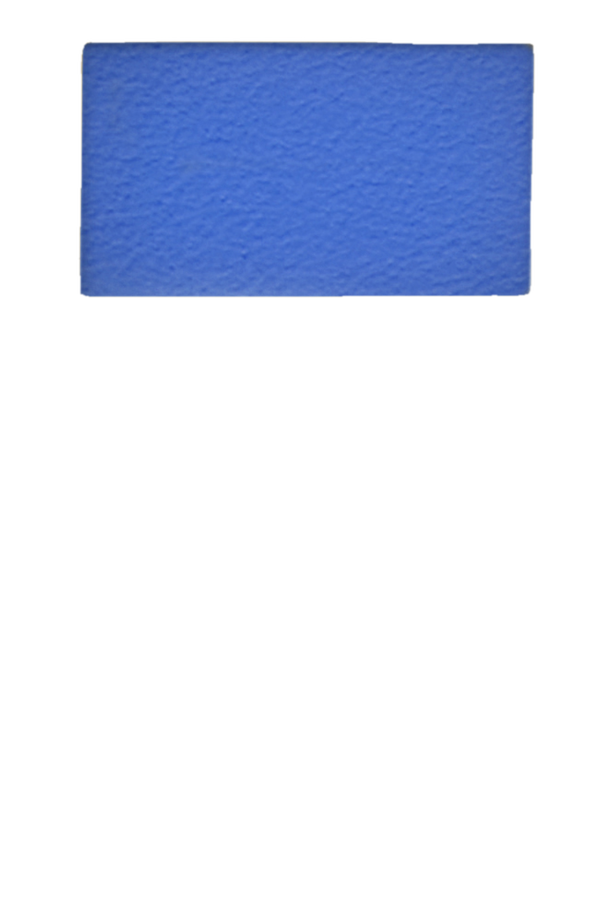 Samsonite Travel Accessories | Leather Patch S-1 Piece | Blue